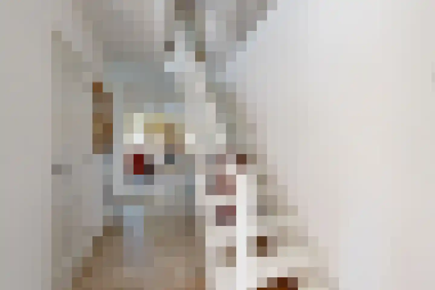 van Polanenpark 17 Klundert thumbnail 37