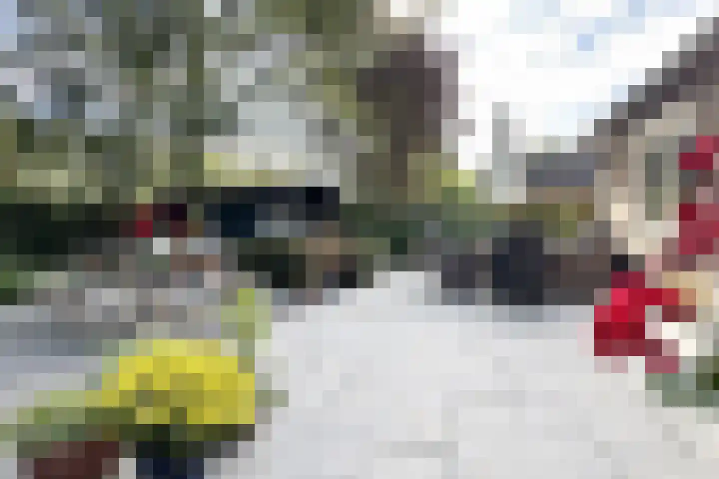 van Polanenpark 17 Klundert thumbnail 6