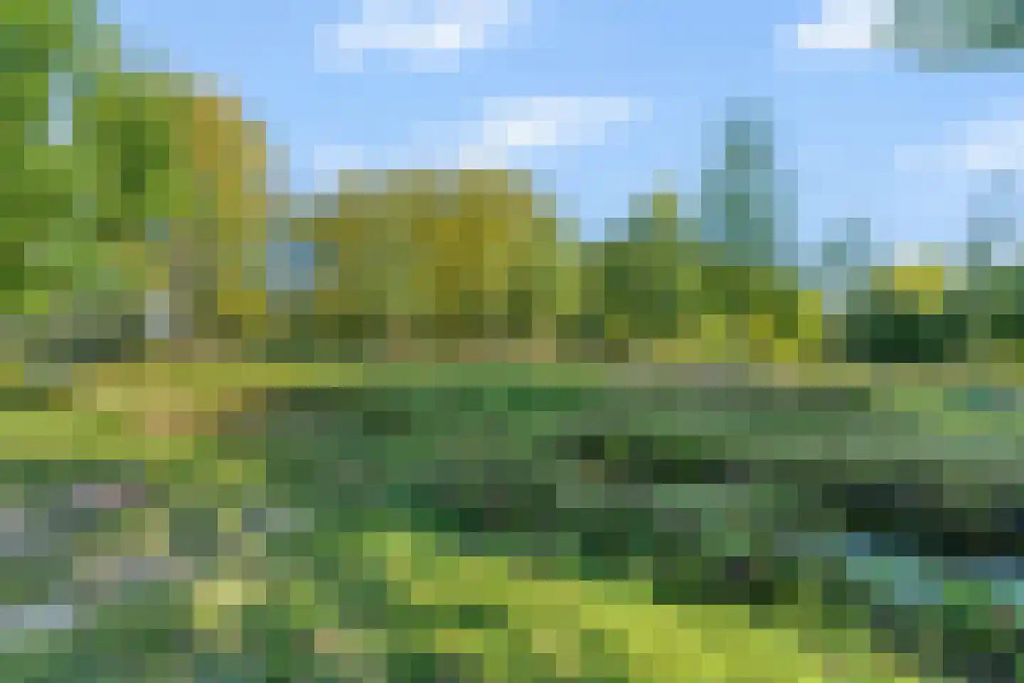 Van Polanenpark 183 Wassenaar thumbnail 32