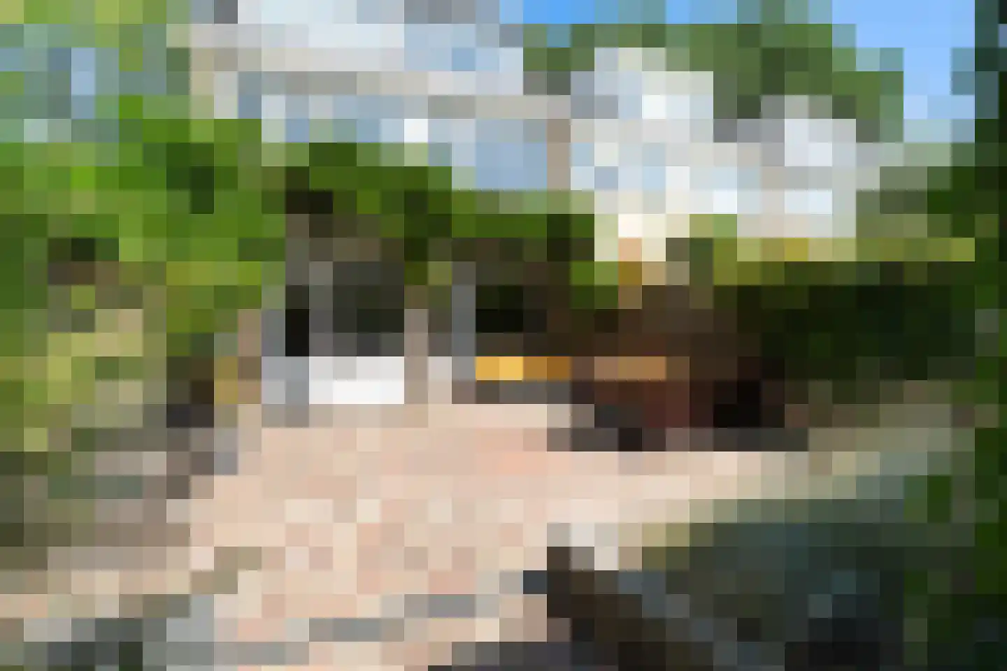 Van Polanenpark 184 Wassenaar thumbnail 17