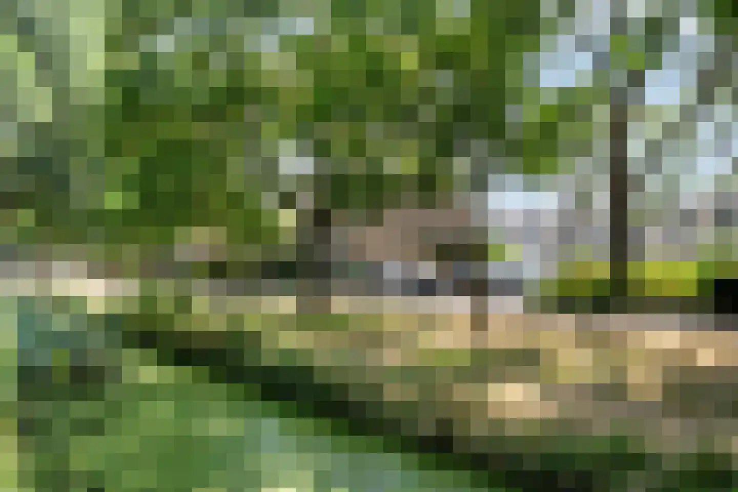 Van Polanenpark 184 Wassenaar thumbnail 42