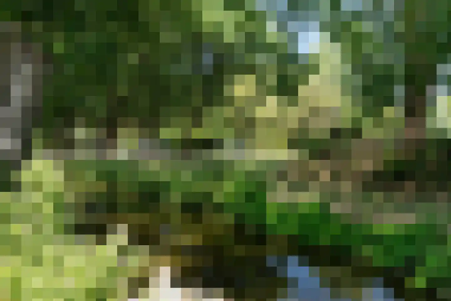 Van Polanenpark 184 Wassenaar thumbnail 44