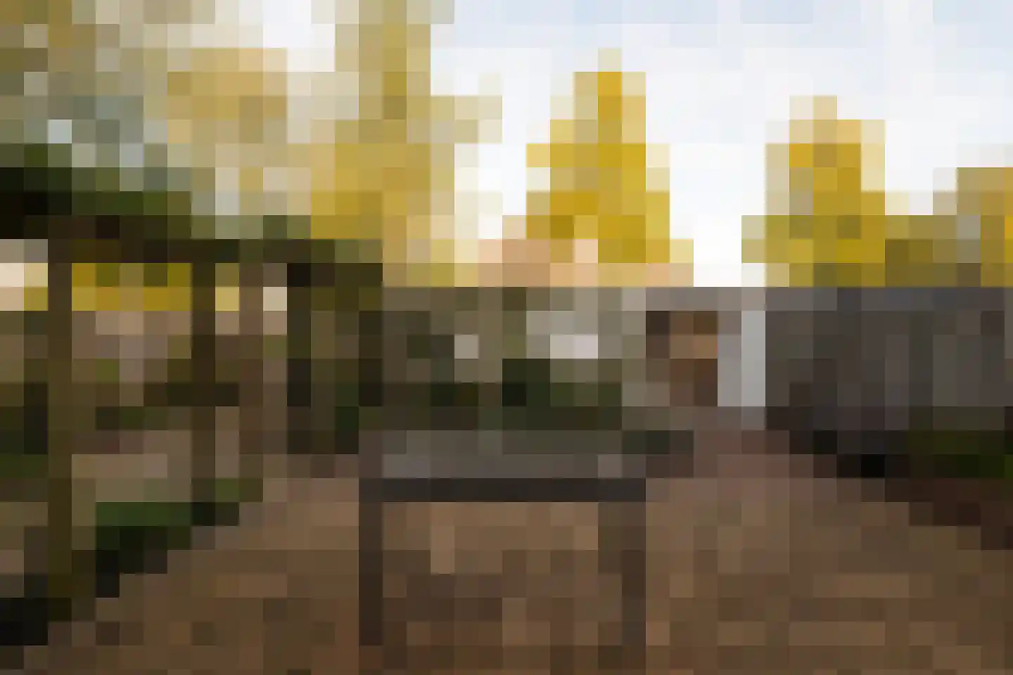 Van Polanenpark 21 Wassenaar thumbnail 21