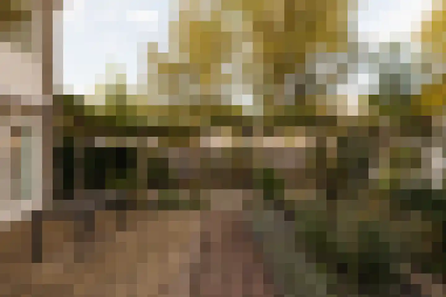 Van Polanenpark 21 Wassenaar thumbnail 22