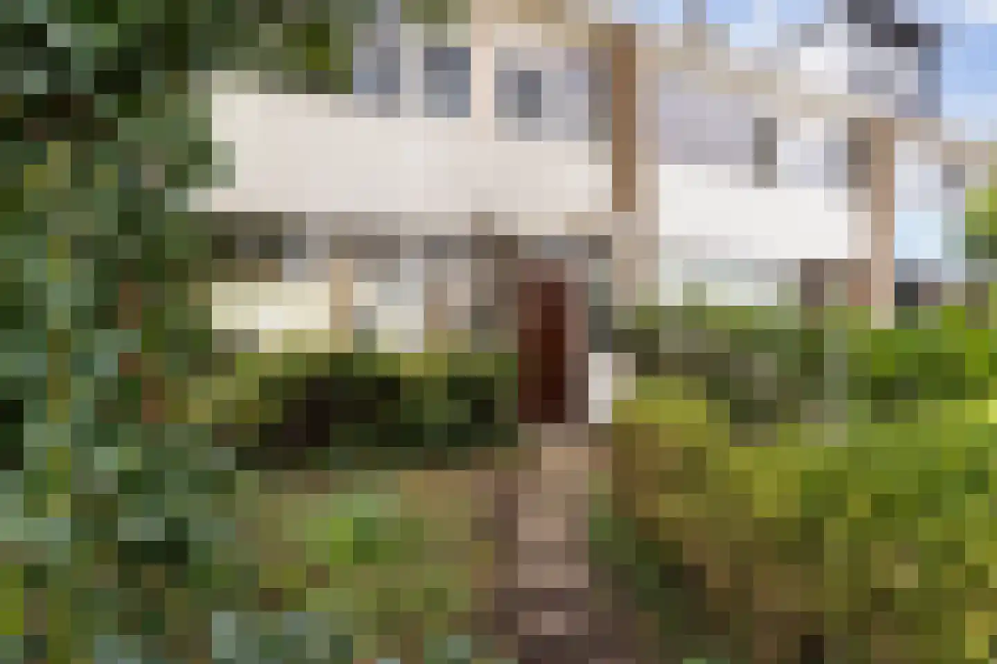 Van Polanenpark 231 Wassenaar thumbnail 38