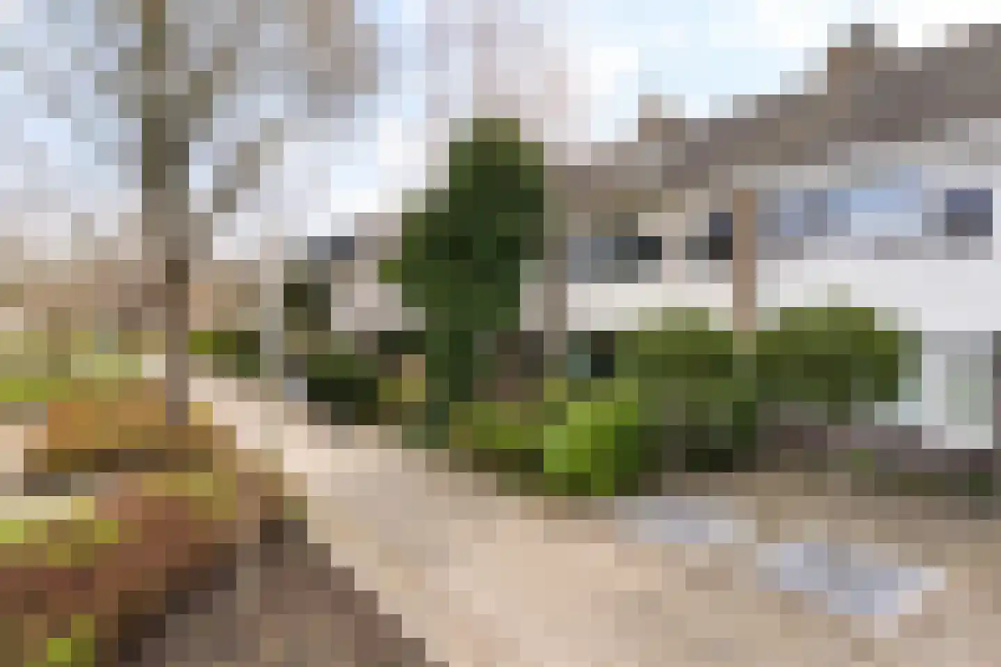 Van Polanenpark 231 Wassenaar thumbnail 4