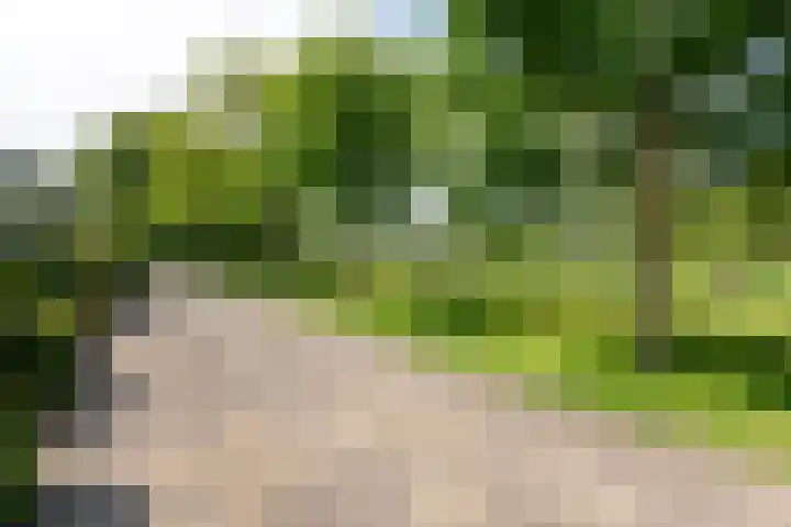 Van Polanenpark 266 Wassenaar thumbnail 31