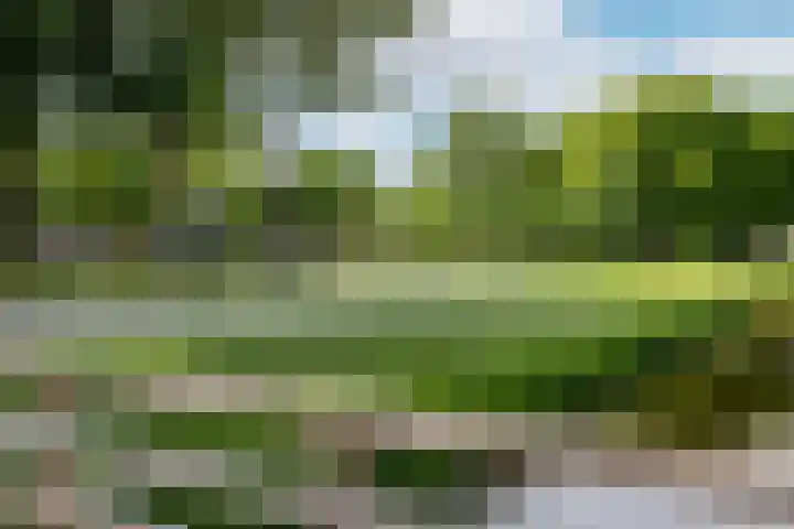 Van Polanenpark 266 Wassenaar thumbnail 32