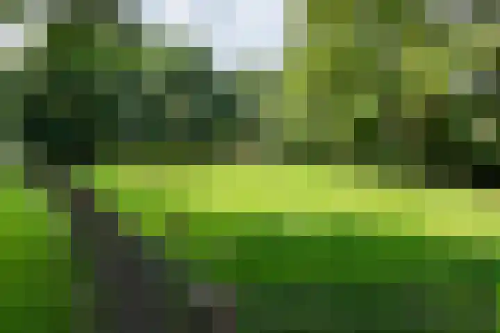 Van Polanenpark 266 Wassenaar thumbnail 34