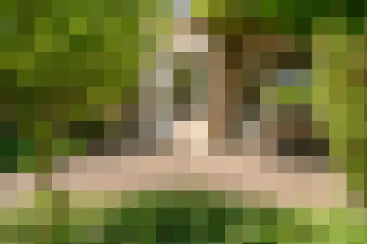 Van Polanenpark 37 Wassenaar thumbnail 16