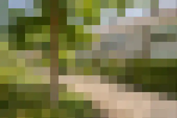 Van Polanenpark 37 Wassenaar thumbnail 4
