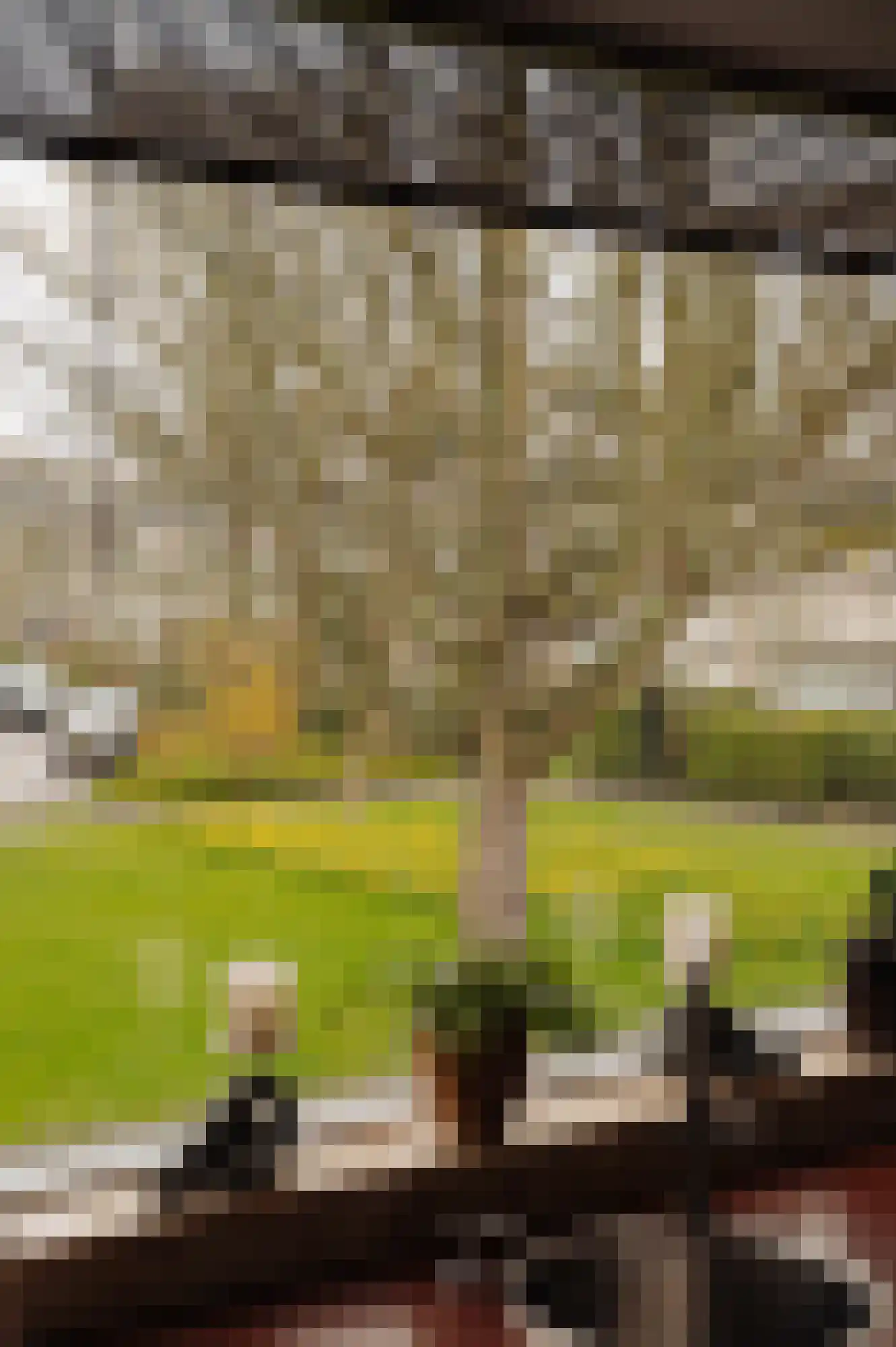 Van Polanenpark 80 Wassenaar thumbnail 16