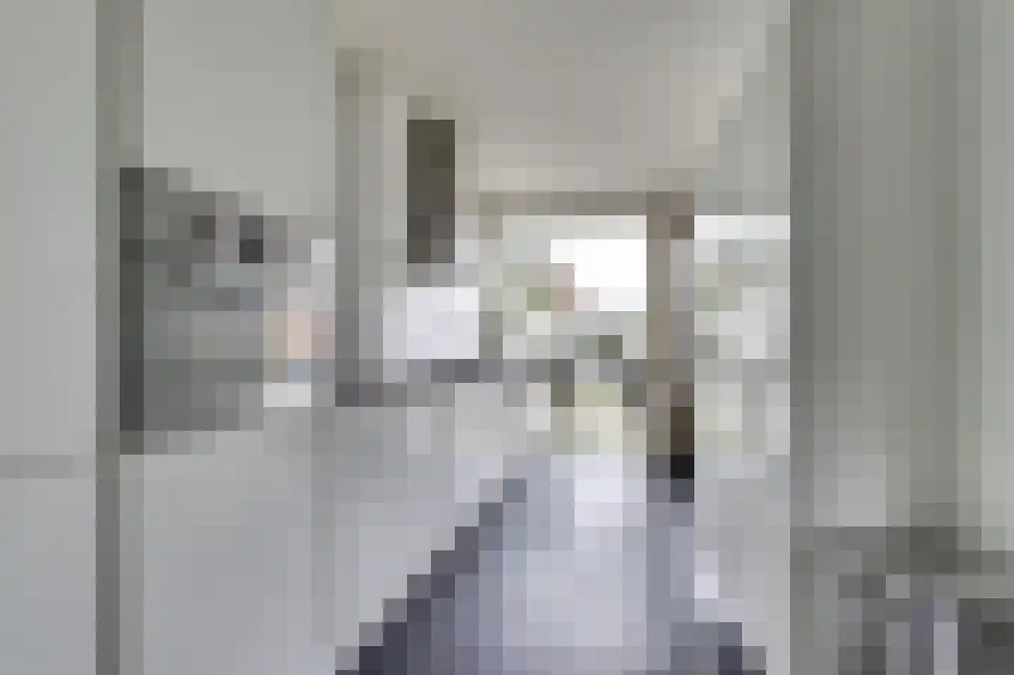 Van Polanenstraat 15 Steenbergen thumbnail 12