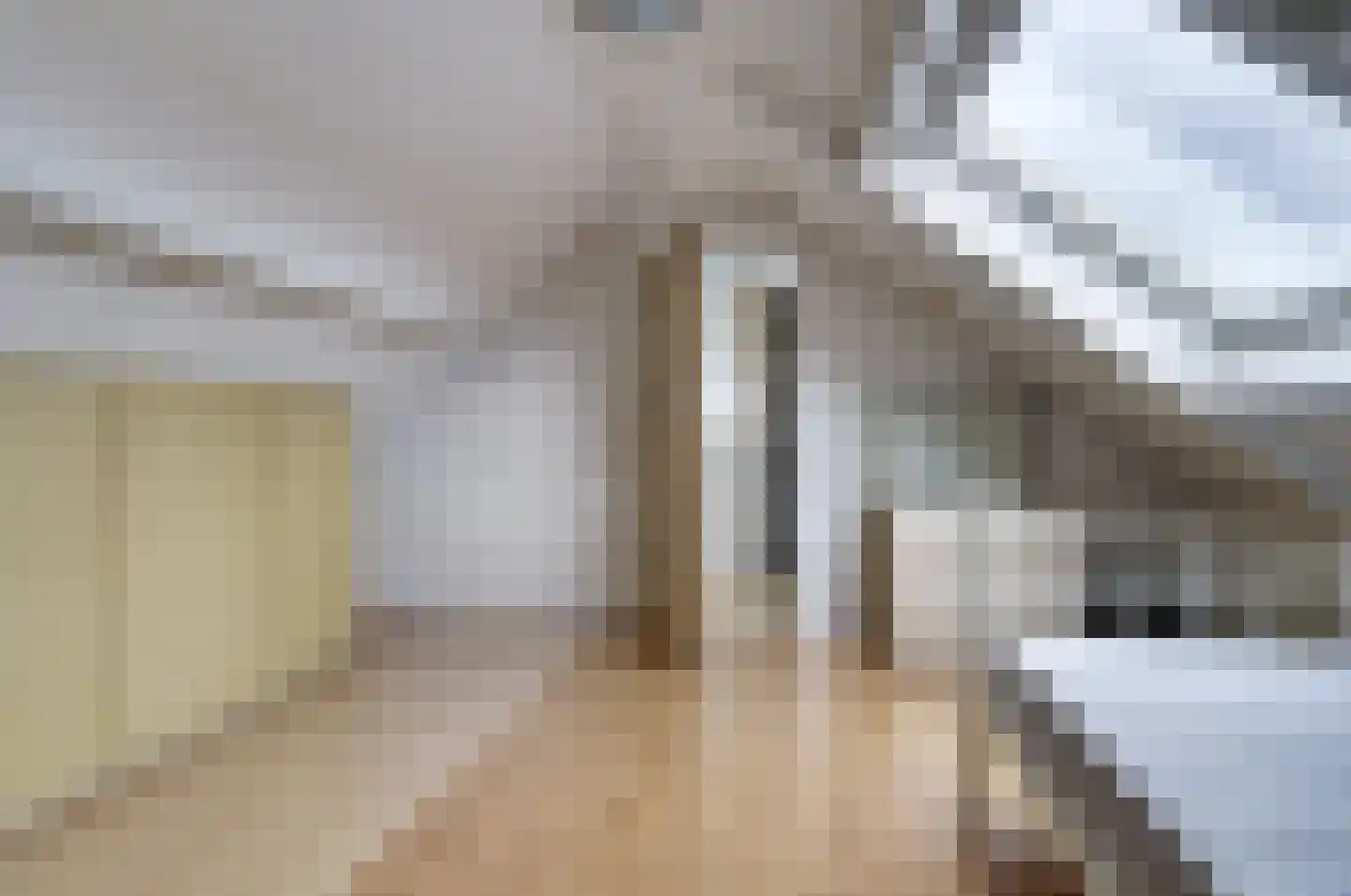 Van Polanenstraat 15 Steenbergen thumbnail 25