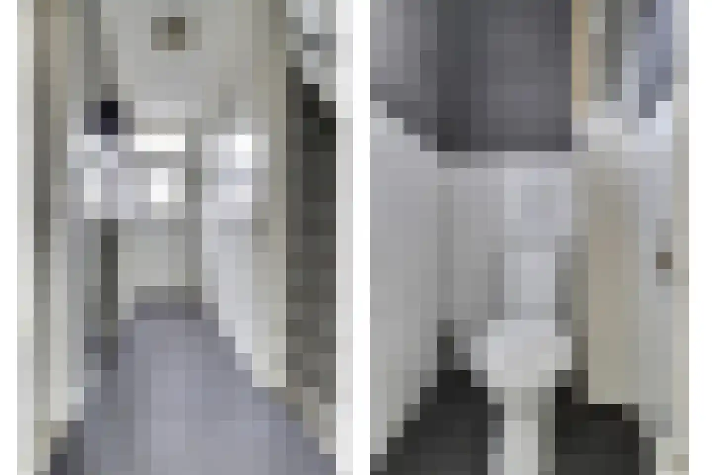 Van Polanenstraat 15 Steenbergen thumbnail 7