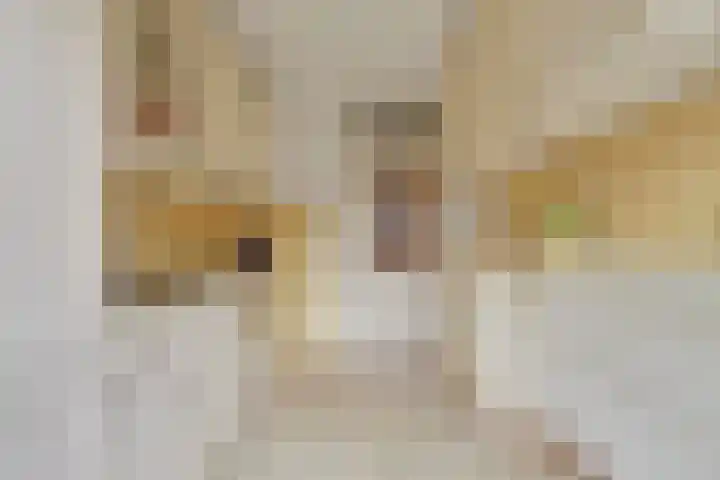 Van Polanenstraat 25 De Lier thumbnail 12