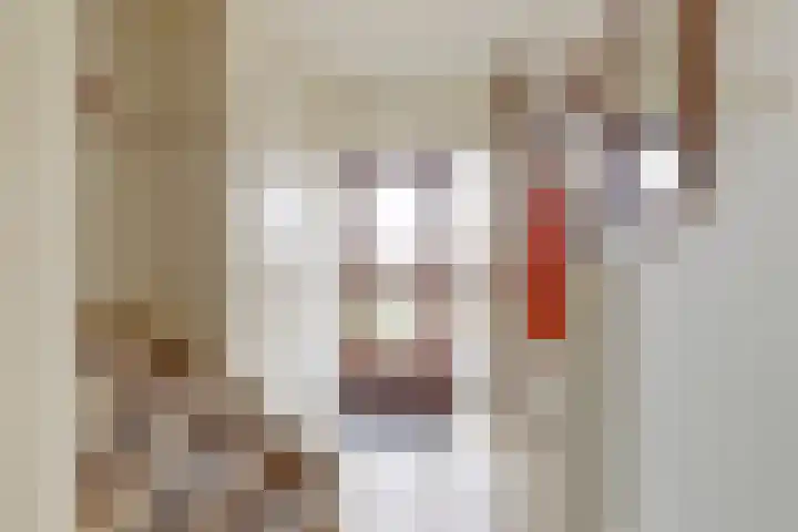 Van Polanenstraat 25 De Lier thumbnail 13