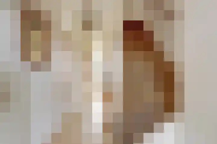Van Polanenstraat 25 De Lier thumbnail 14