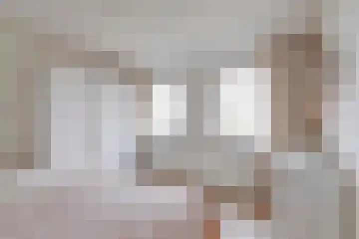 Van Polanenstraat 25 De Lier thumbnail 18