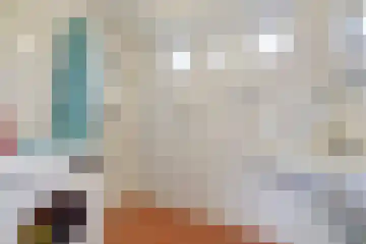 Van Polanenstraat 25 De Lier thumbnail 24