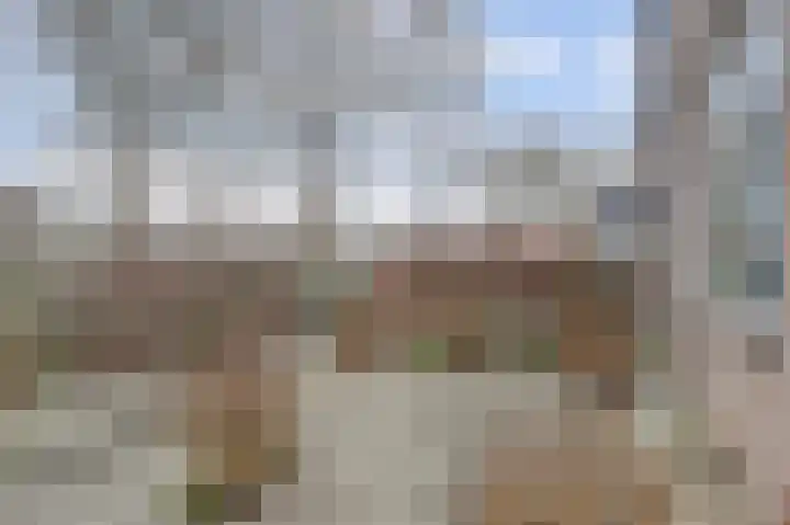 Van Polanenstraat 25 De Lier thumbnail 31