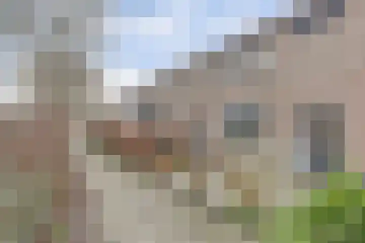 Van Polanenstraat 25 De Lier thumbnail 32