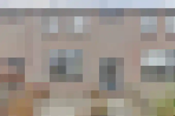 Van Polanenstraat 25 De Lier thumbnail 33