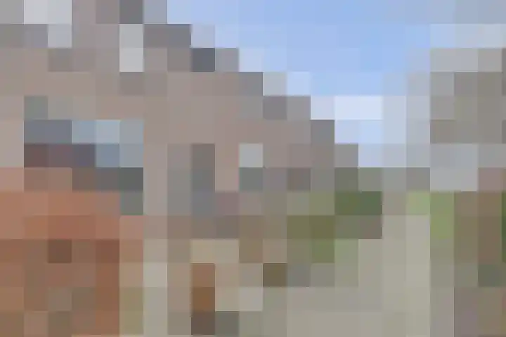 Van Polanenstraat 25 De Lier thumbnail 34