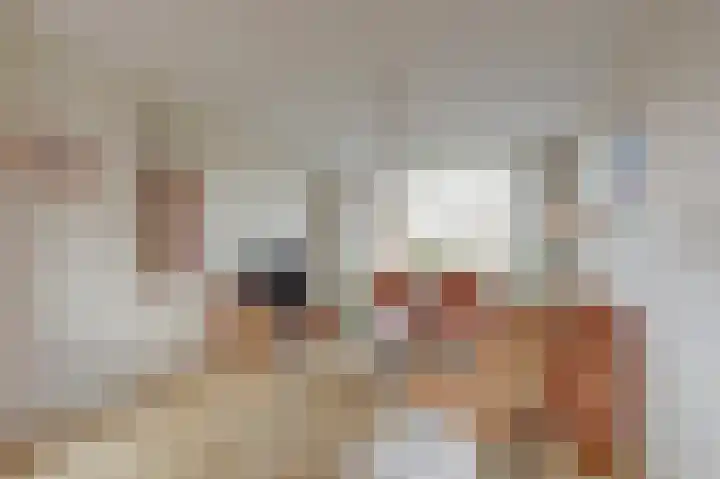 Van Polanenstraat 25 De Lier thumbnail 5