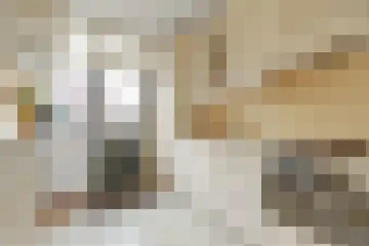 Van Polanenstraat 25 De Lier thumbnail 7