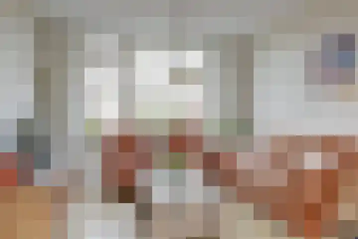 Van Polanenstraat 25 De Lier thumbnail 8