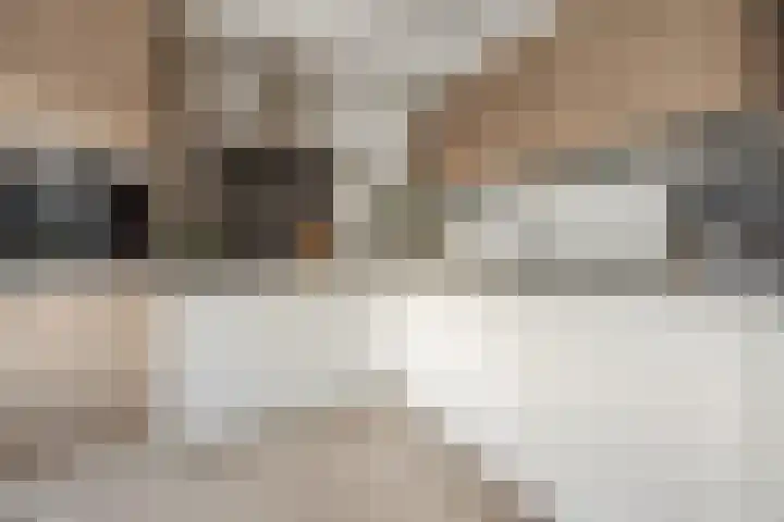 Van Polanenstraat 27 De Lier thumbnail 10
