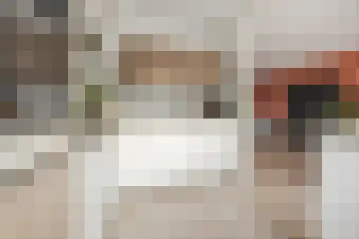 Van Polanenstraat 27 De Lier thumbnail 11