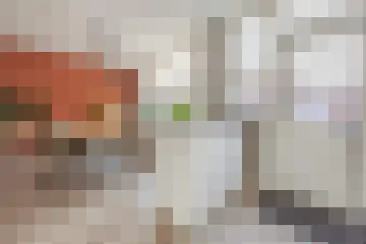 Van Polanenstraat 27 De Lier thumbnail 12