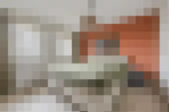 Van Polanenstraat 27 De Lier thumbnail 13