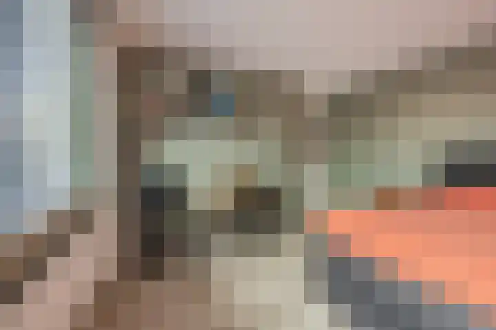 Van Polanenstraat 27 De Lier thumbnail 16