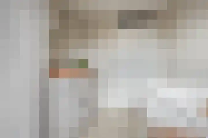 Van Polanenstraat 27 De Lier thumbnail 18