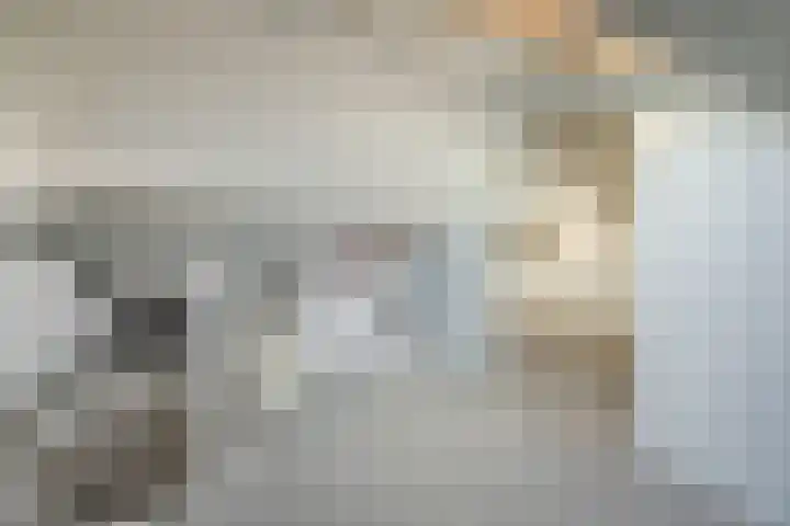 Van Polanenstraat 27 De Lier thumbnail 22