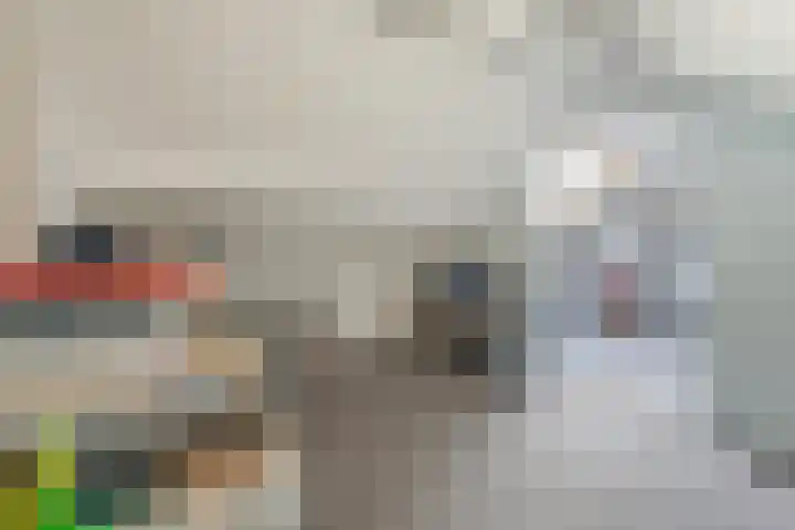 Van Polanenstraat 27 De Lier thumbnail 23
