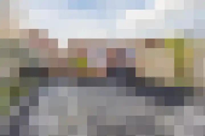 Van Polanenstraat 27 De Lier thumbnail 25