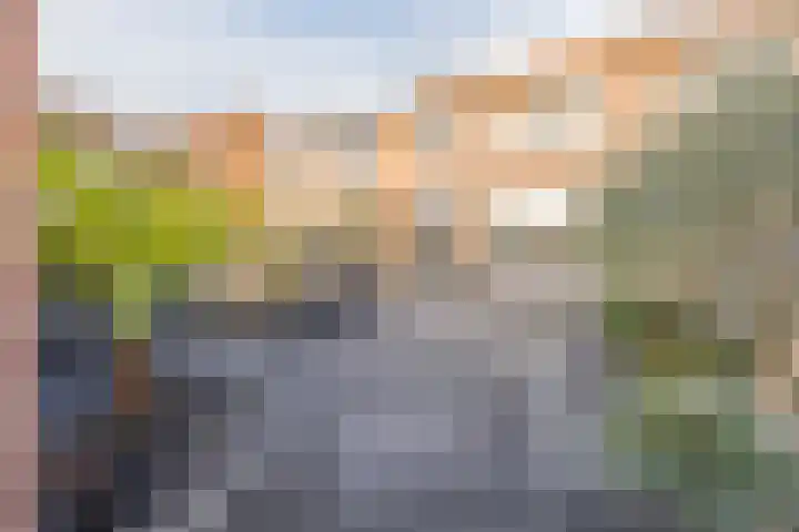 Van Polanenstraat 27 De Lier thumbnail 26