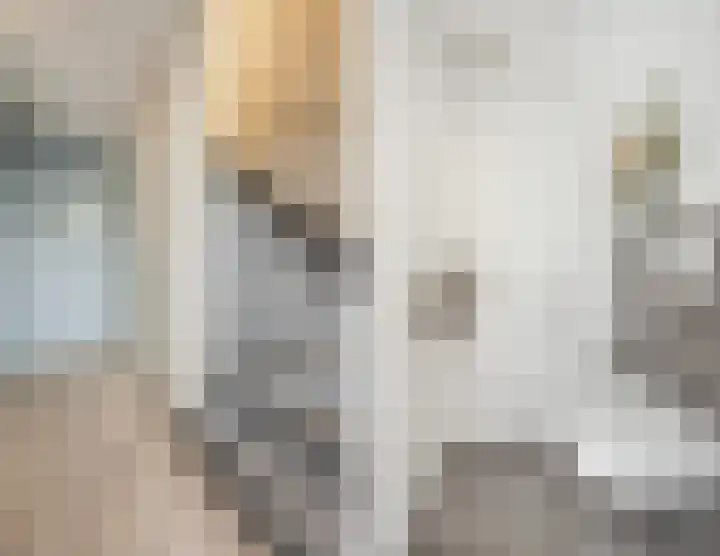 Van Polanenstraat 27 De Lier thumbnail 4