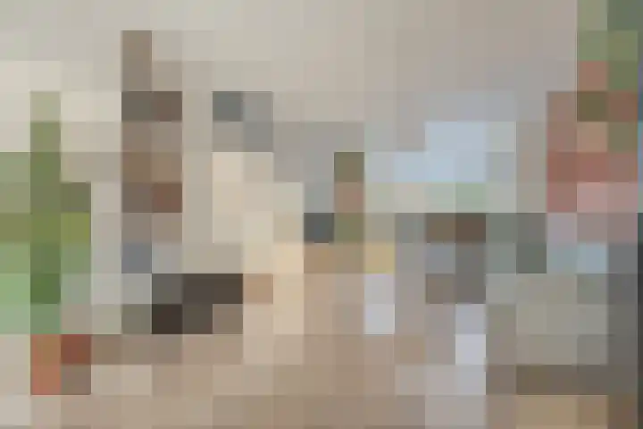 Van Polanenstraat 27 De Lier thumbnail 5