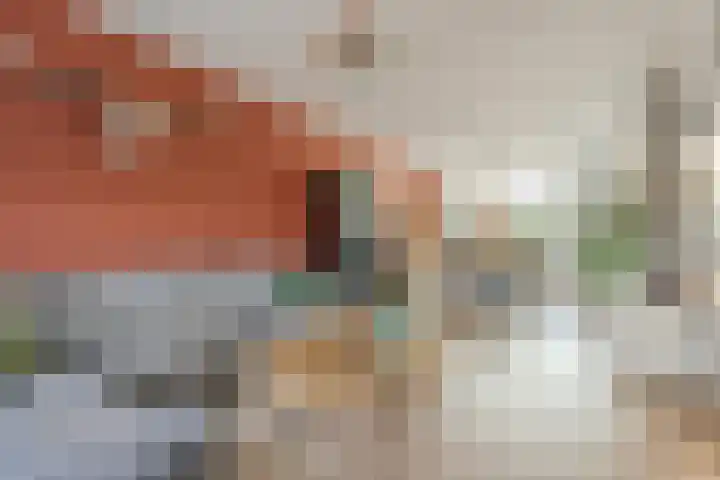 Van Polanenstraat 27 De Lier thumbnail 7