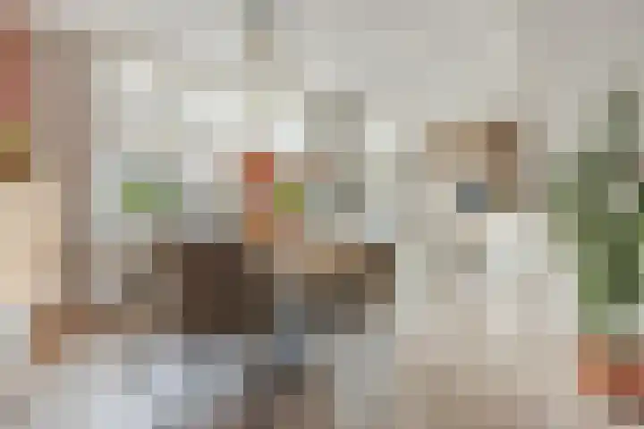 Van Polanenstraat 27 De Lier thumbnail 8