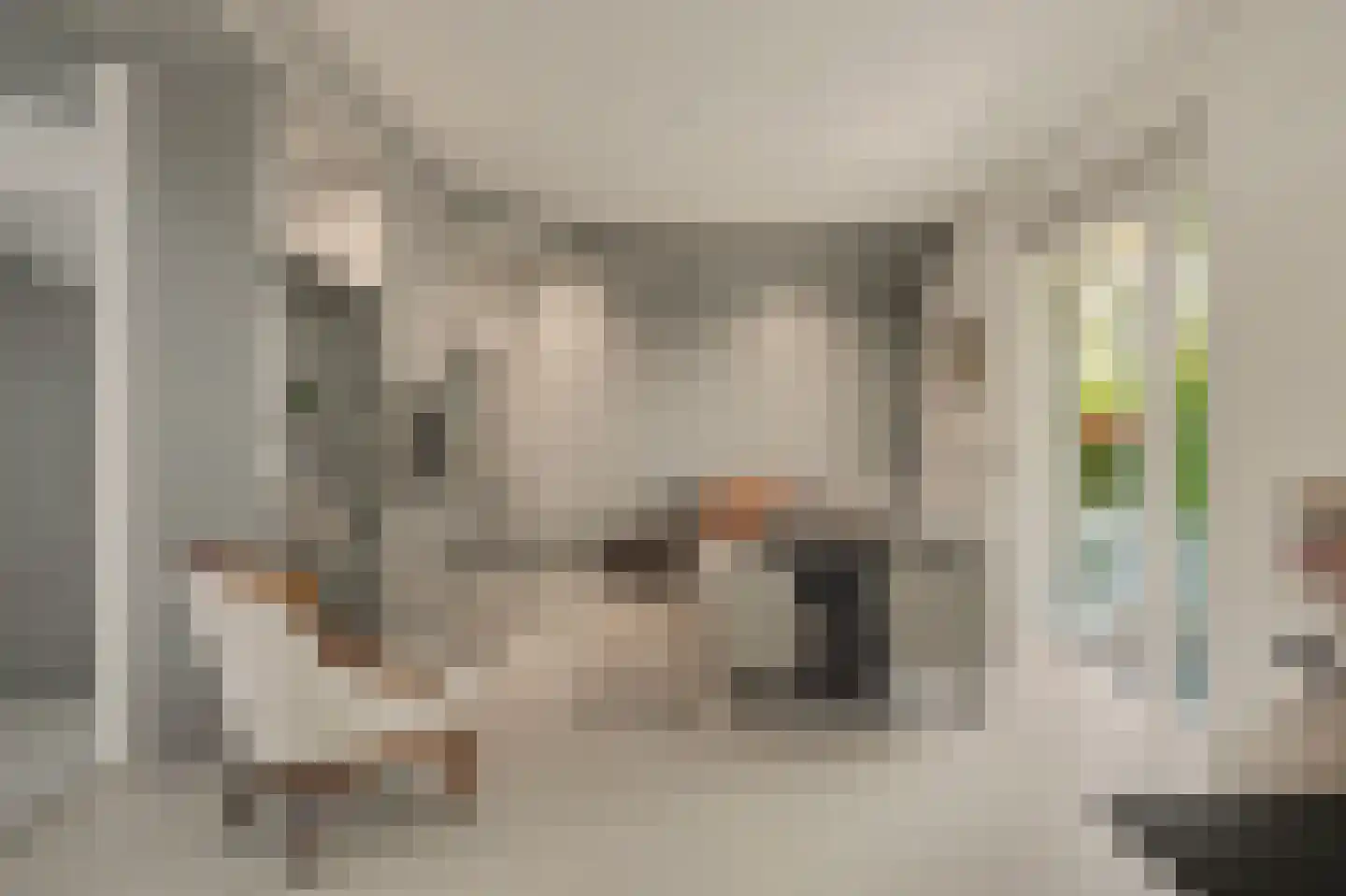 Van Polanenstraat 47 Hendrik-Ido-Ambacht thumbnail 23