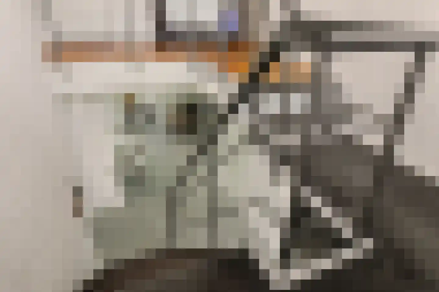 Van Polanenstraat 47 Hendrik-Ido-Ambacht thumbnail 43