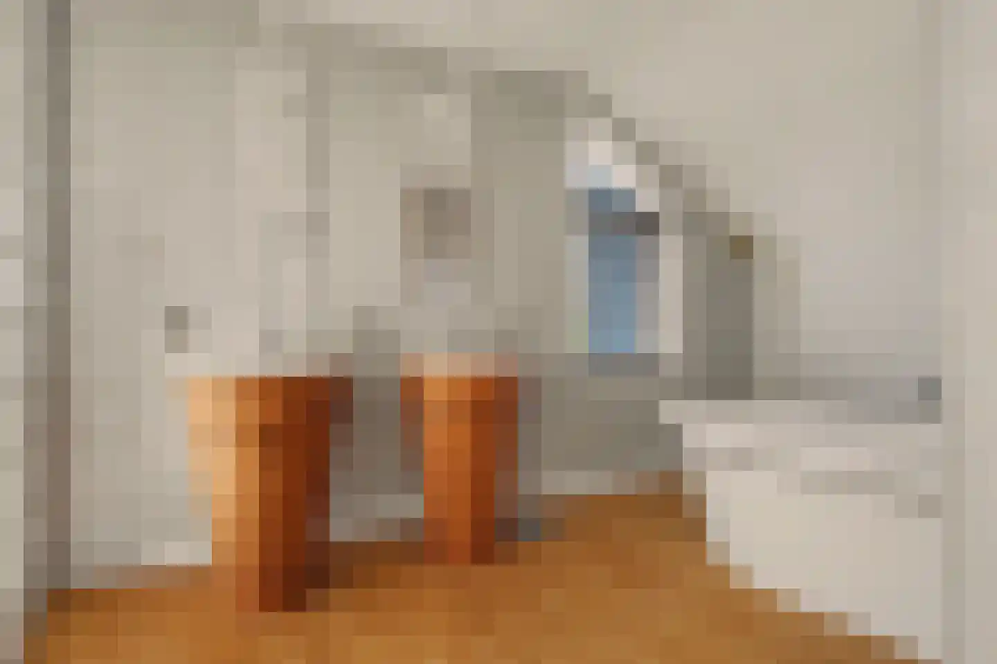 Van Polanenstraat 47 Hendrik-Ido-Ambacht thumbnail 52