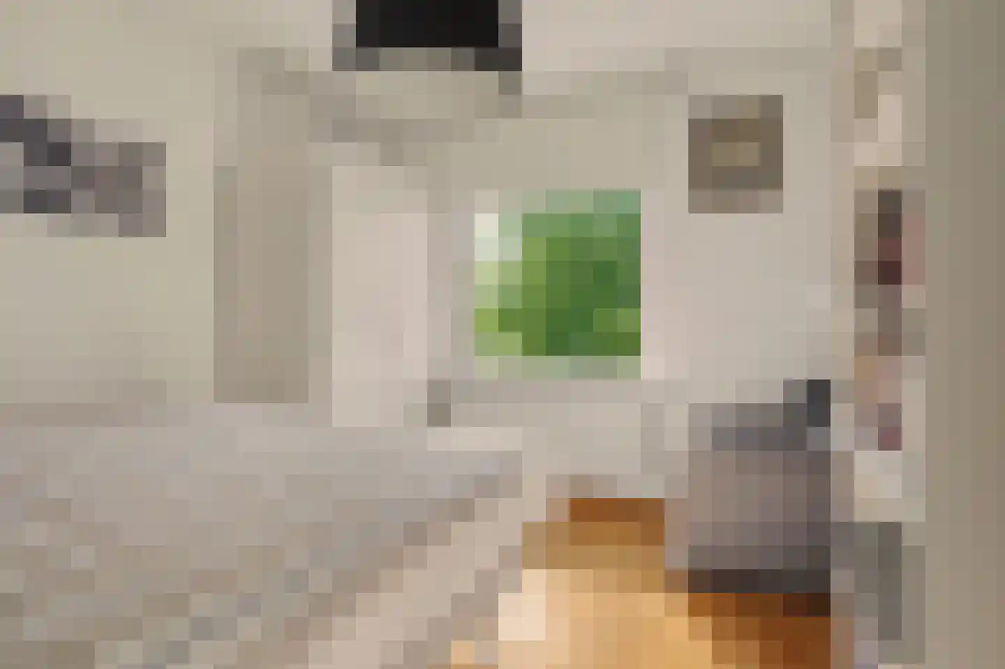 Van Polanenstraat 47 Hendrik-Ido-Ambacht thumbnail 54