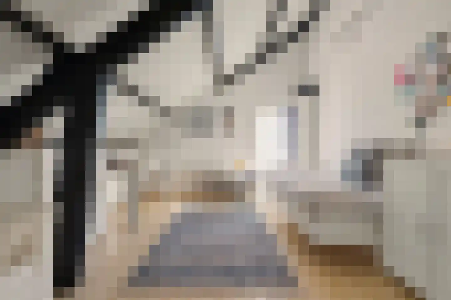 Van Polanenstraat 47 Hendrik-Ido-Ambacht thumbnail 62